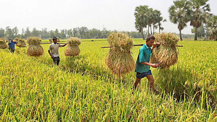 বিপর্যস্ত গ্রামীণ অর্থনীতি